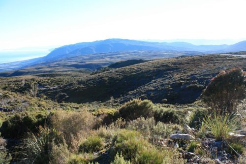 The beauty of the Denniston Plateau.  Photo: Forest & Bird 
